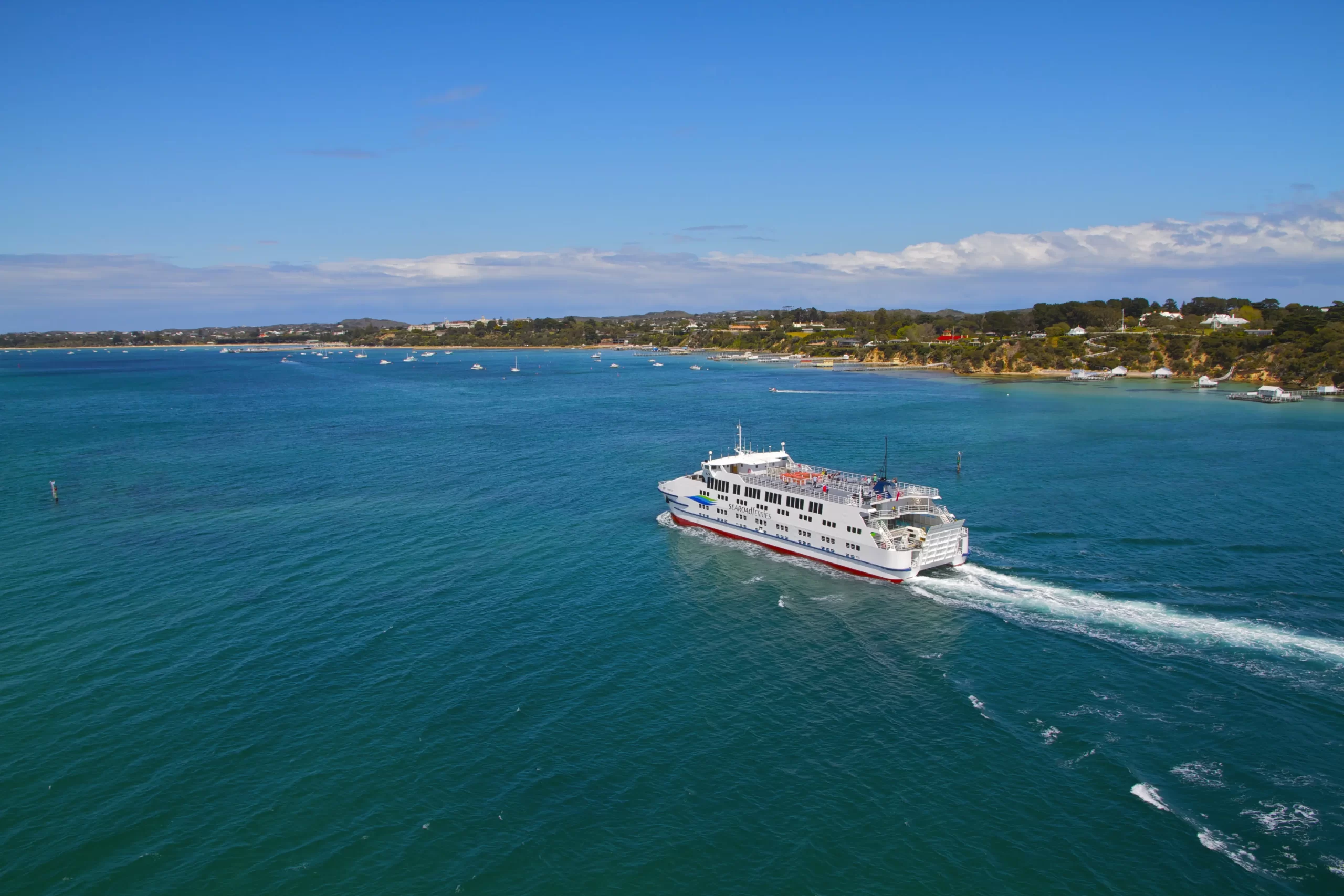 great ocean road day tours