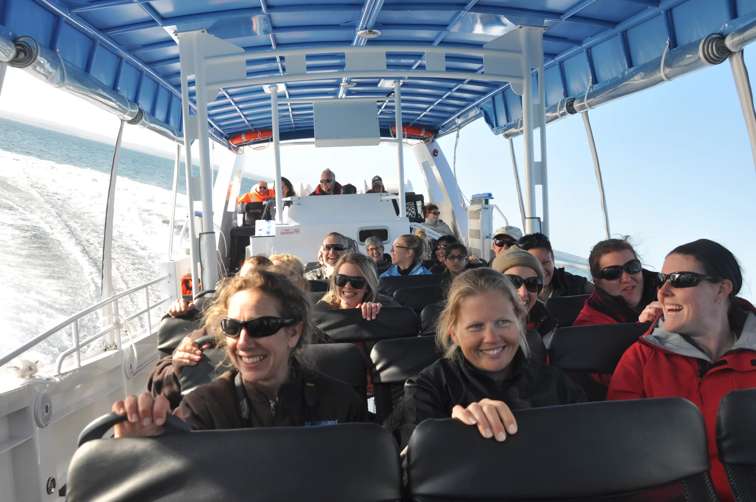 phillip island penguin tours