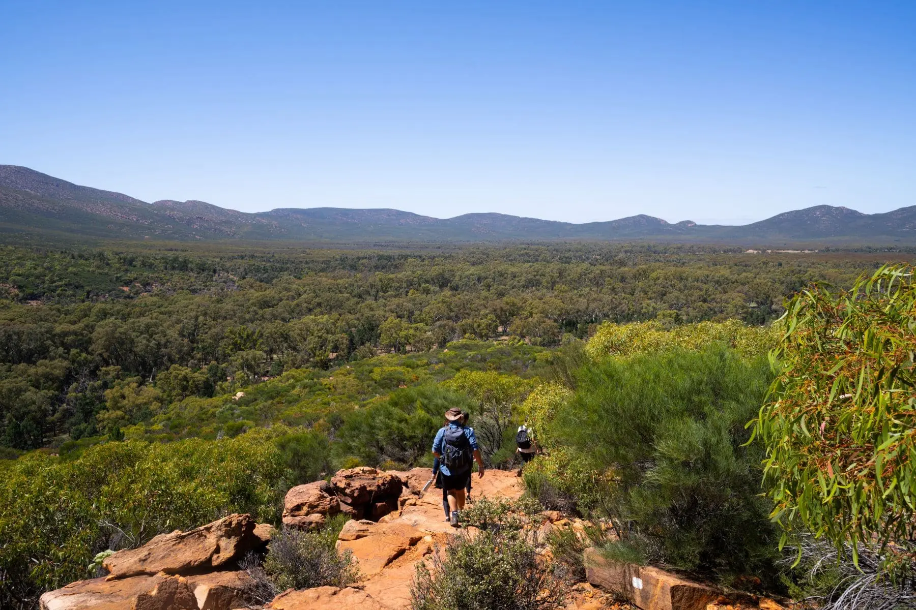 ayers rock tours