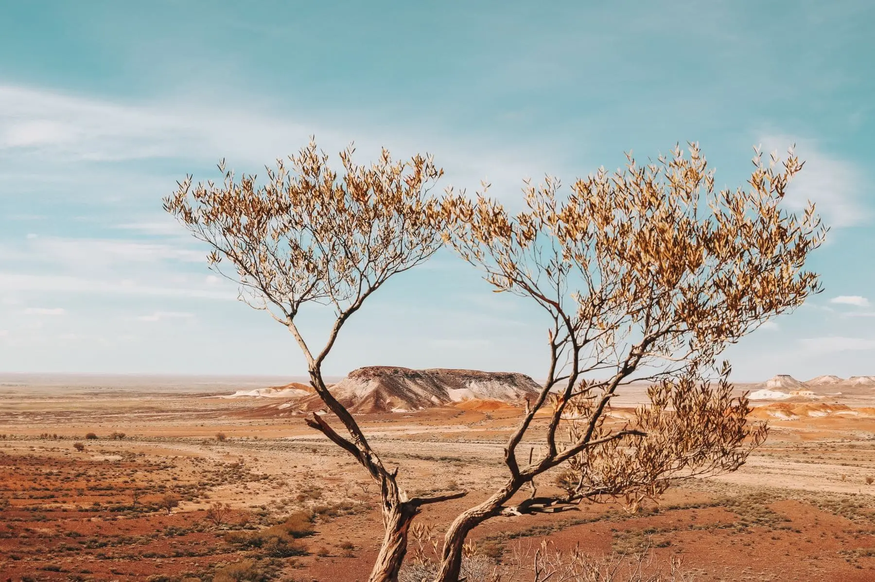 trip uluru