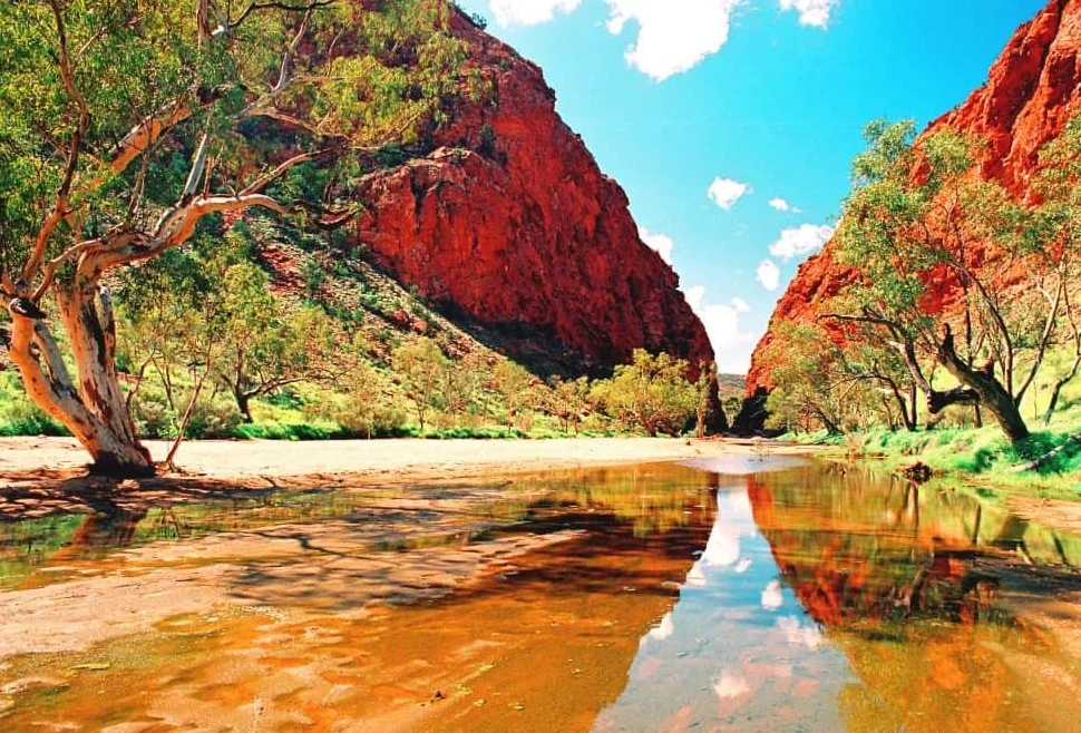 uluru tour