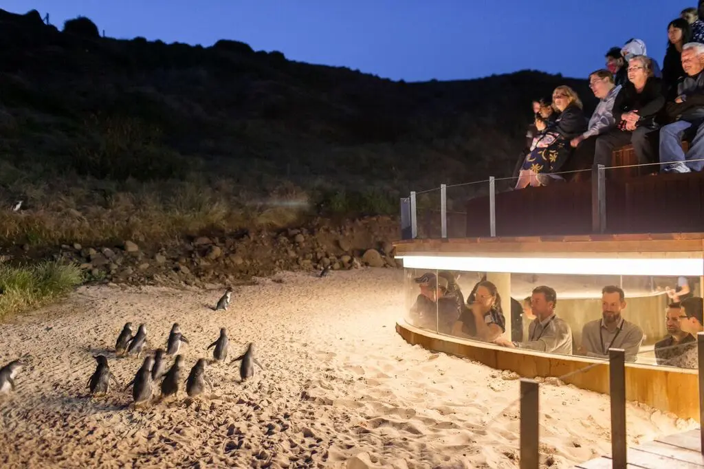 day trip to phillip island