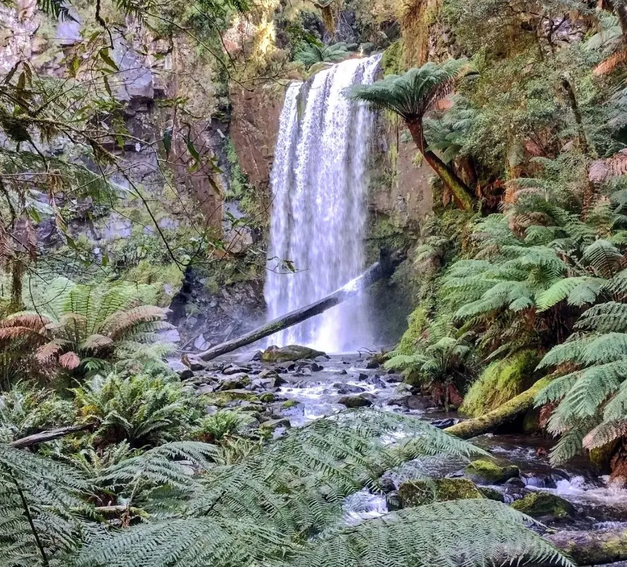 great ocean road b tours melbourne
