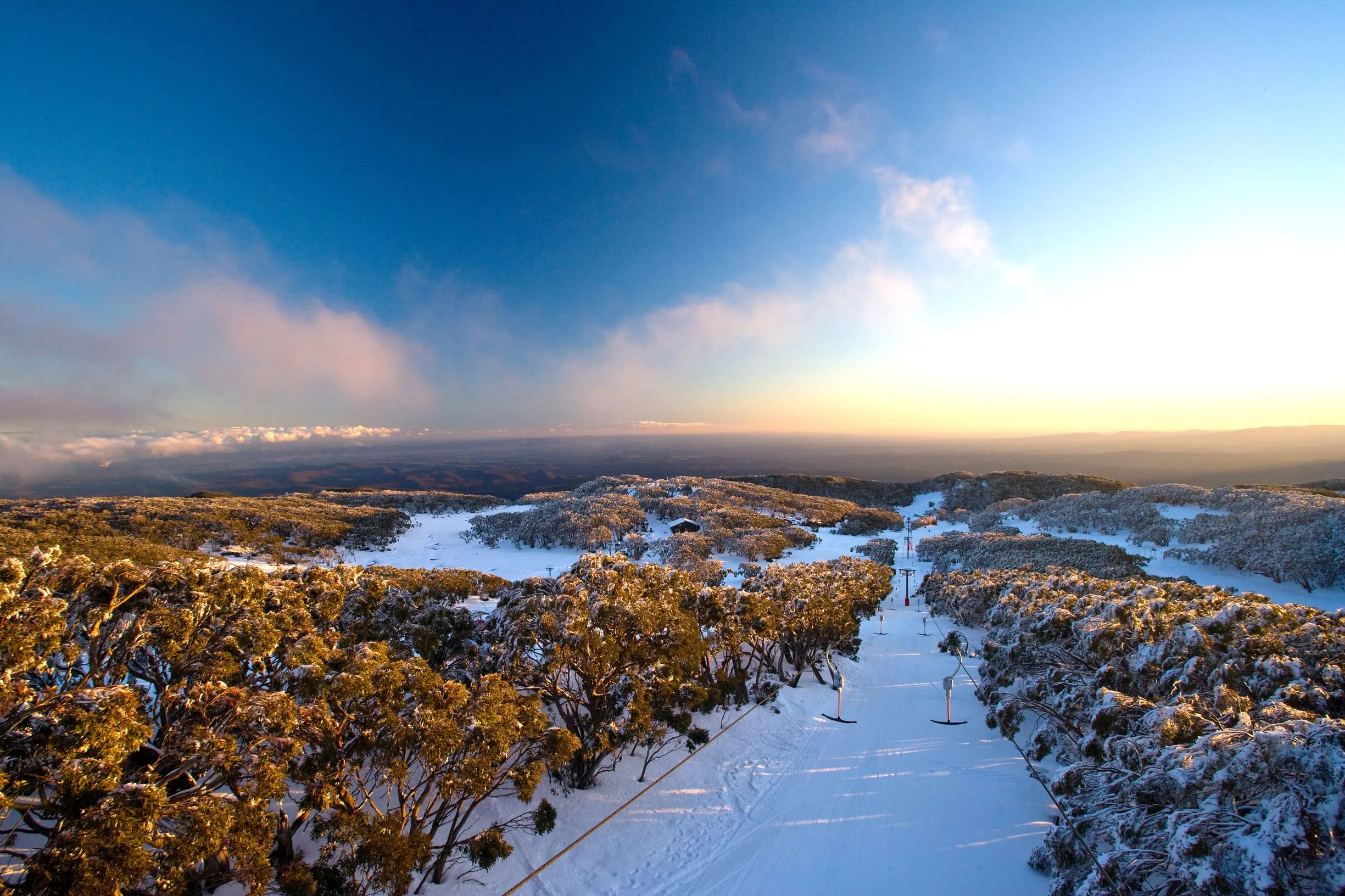 snow tours