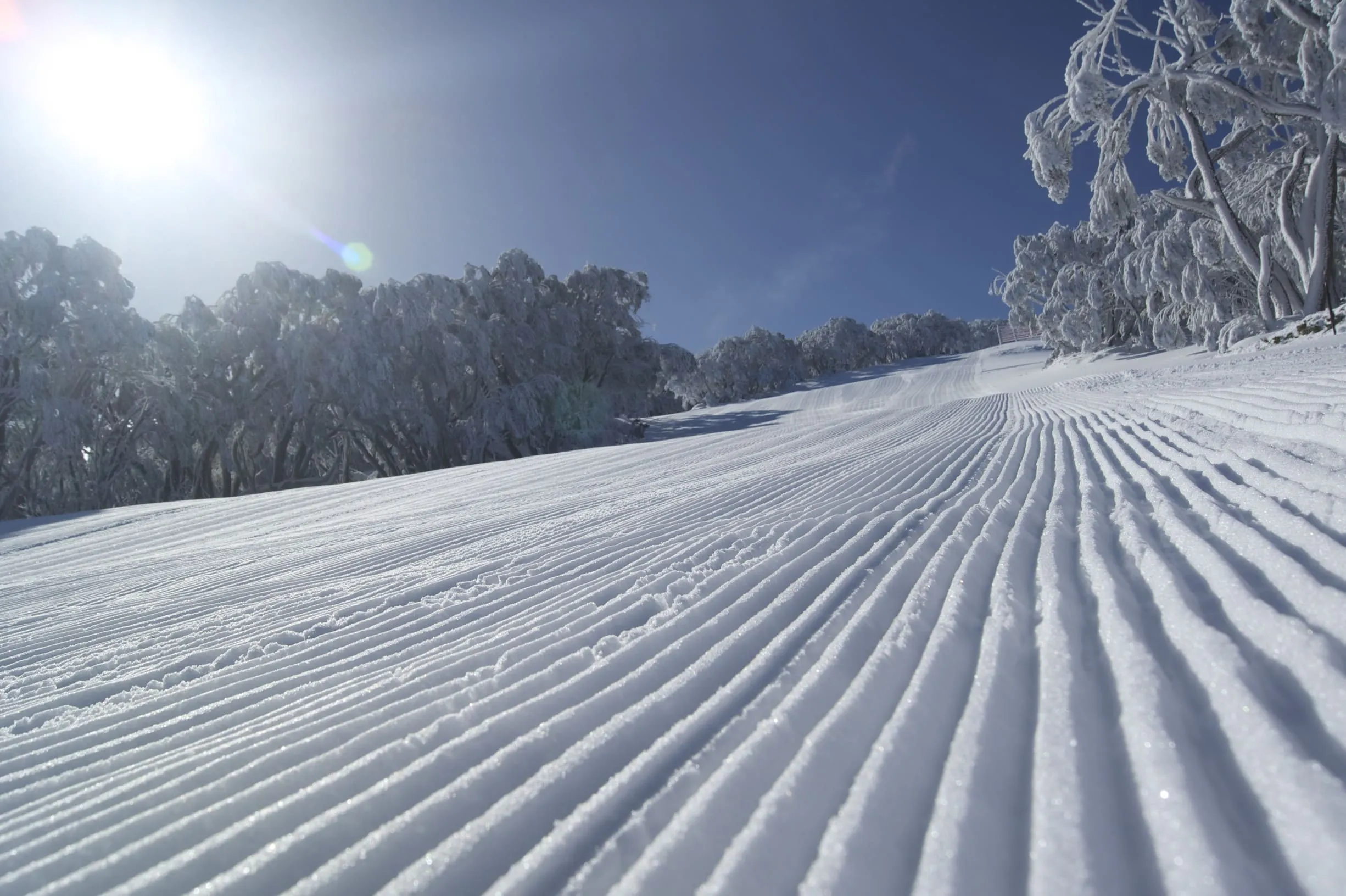 snowy mountain tour package