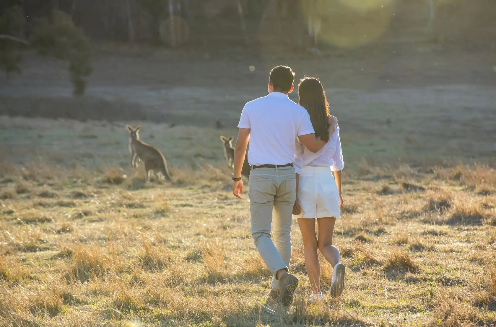 blue mountains tours sydney