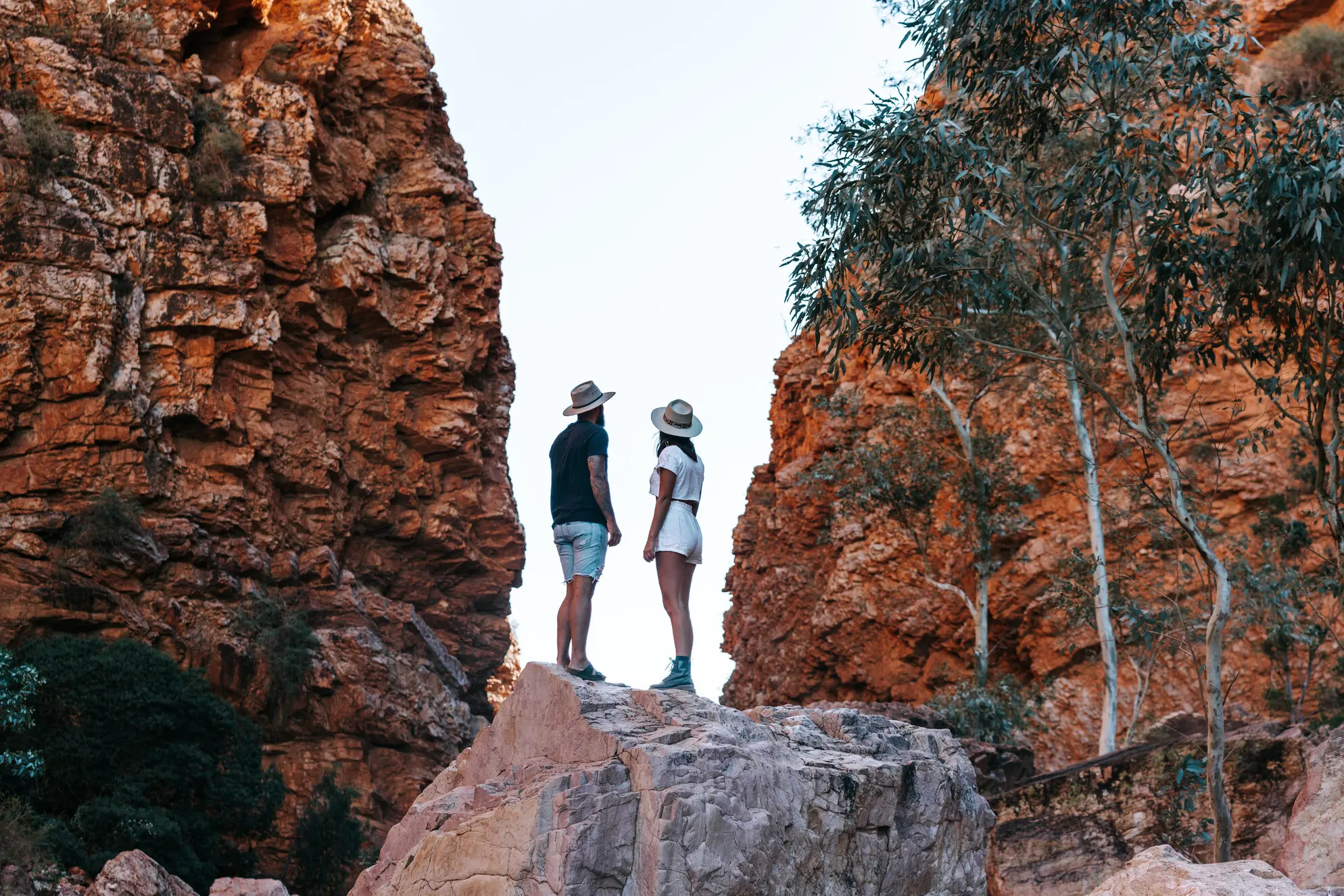 larapinta