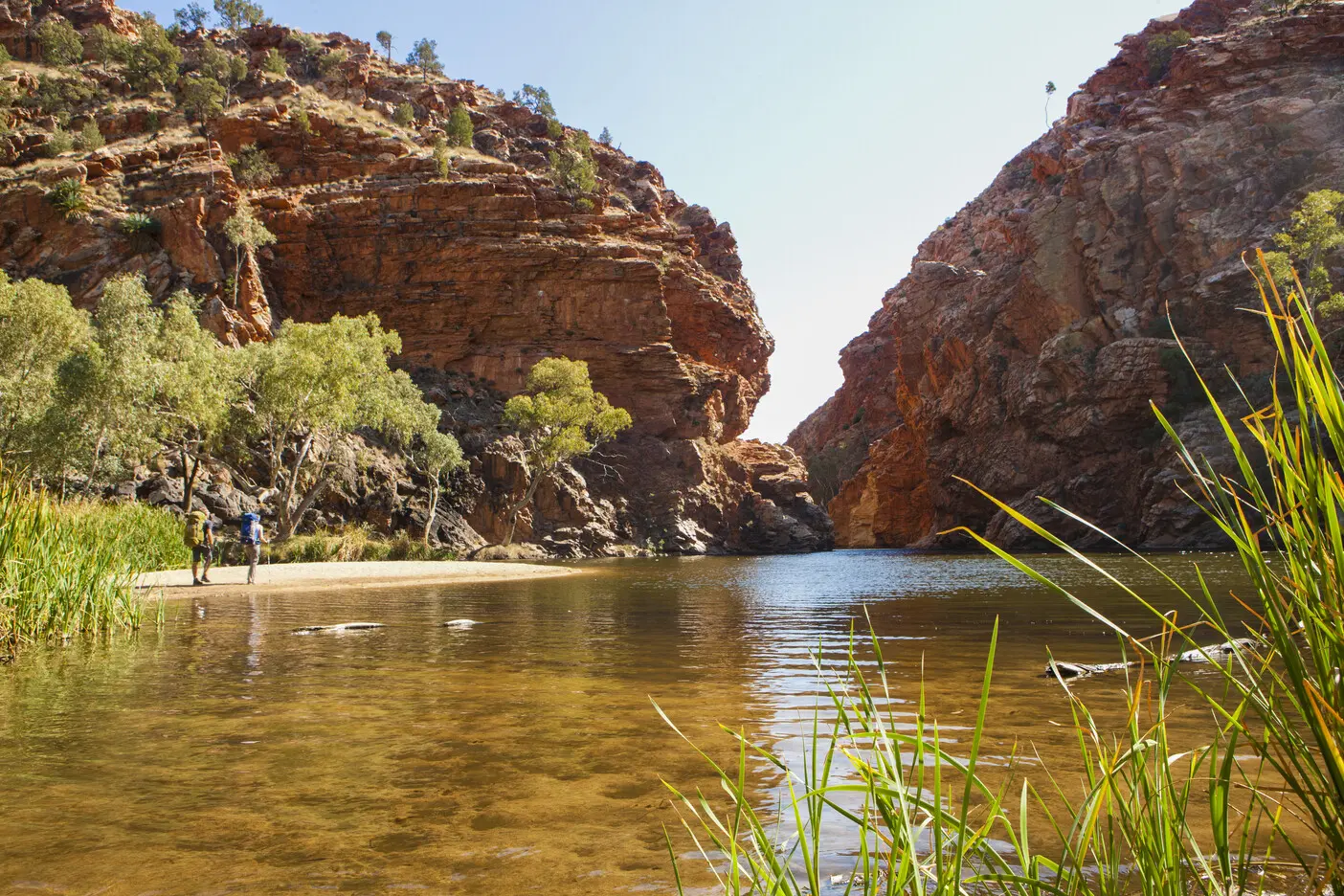 trek larapinta