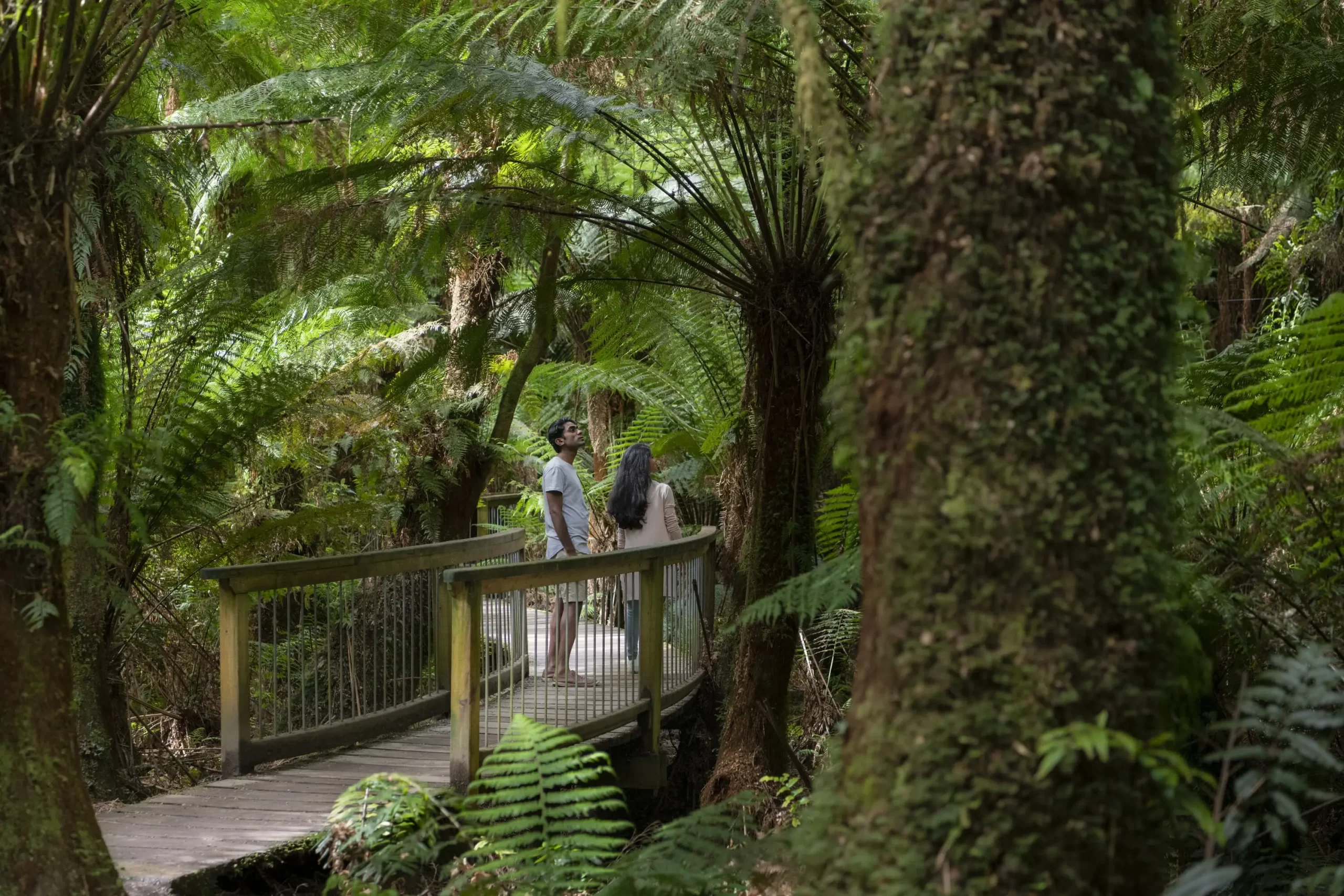 otway discovery tours