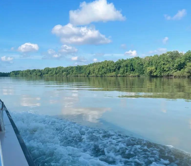 adelai river croc tour
