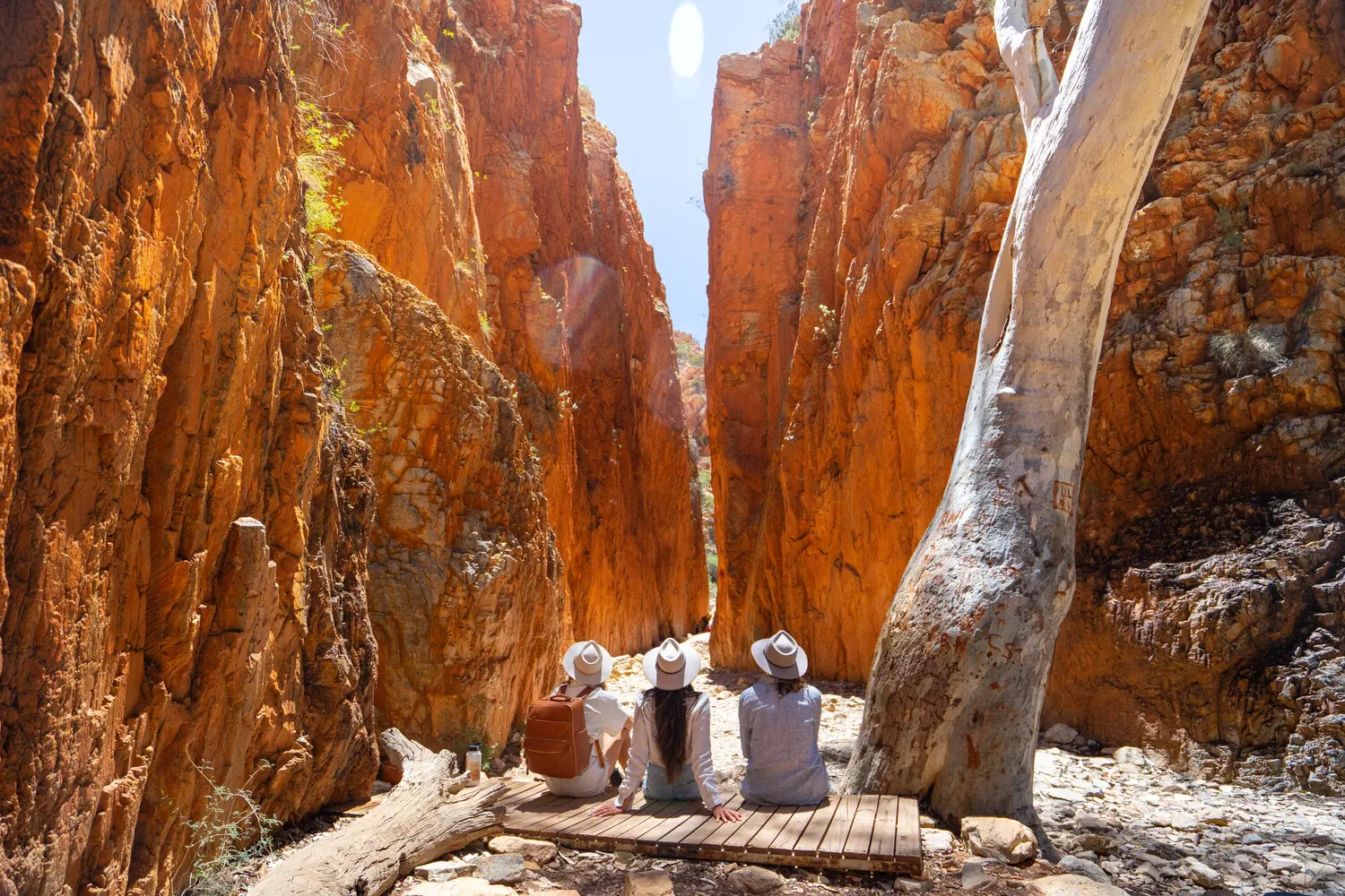 larapinta trail