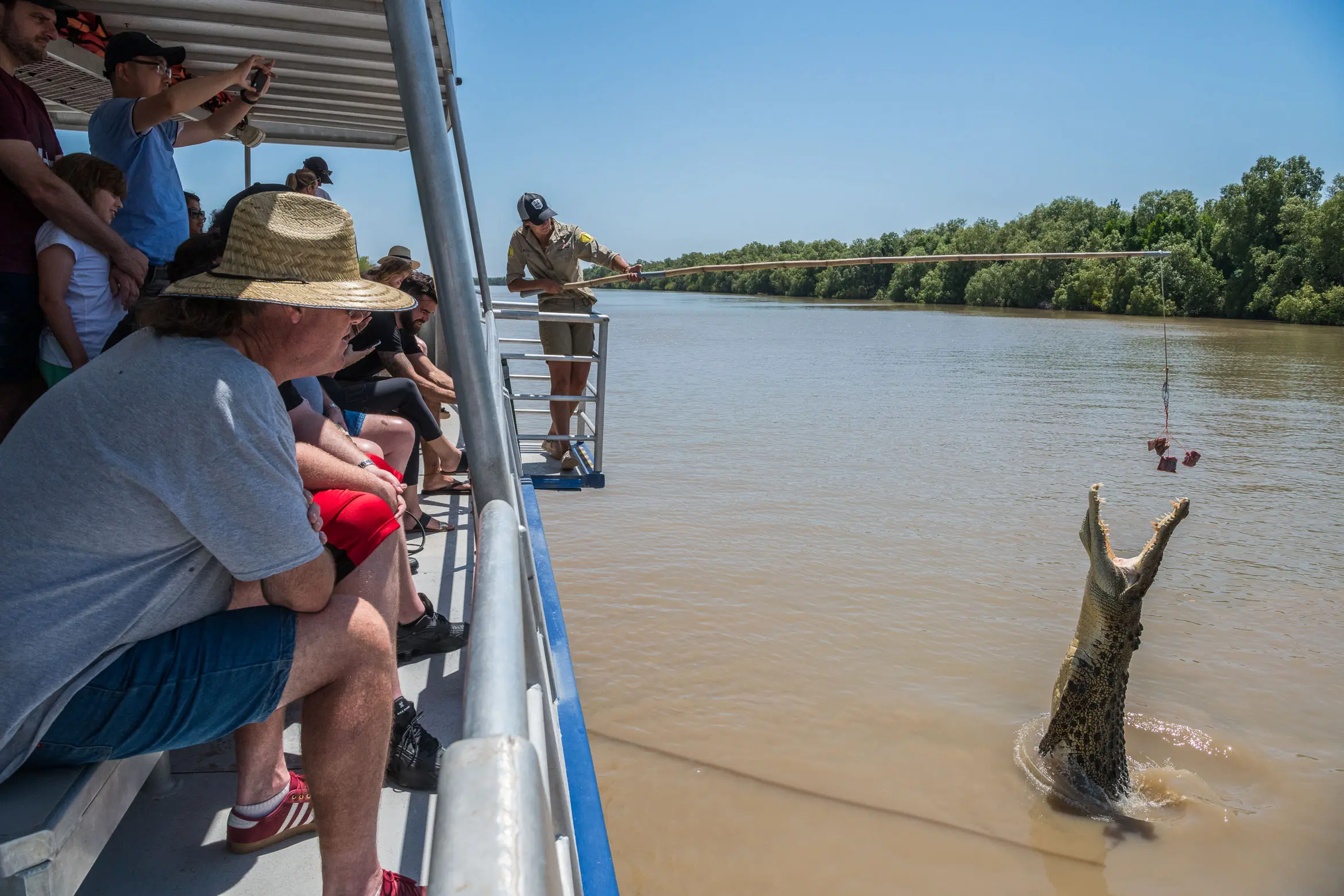 kakadu tours from darwin 1 day