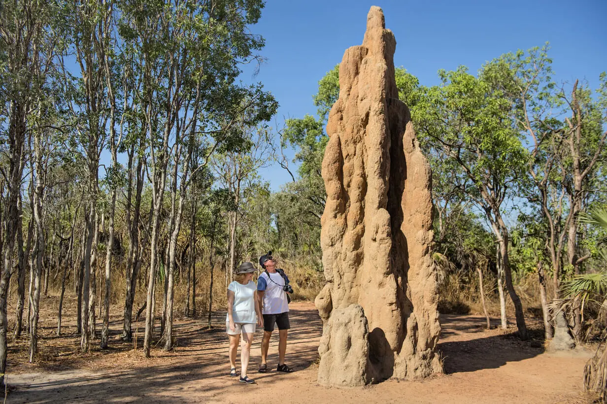 darwin tours litchfield