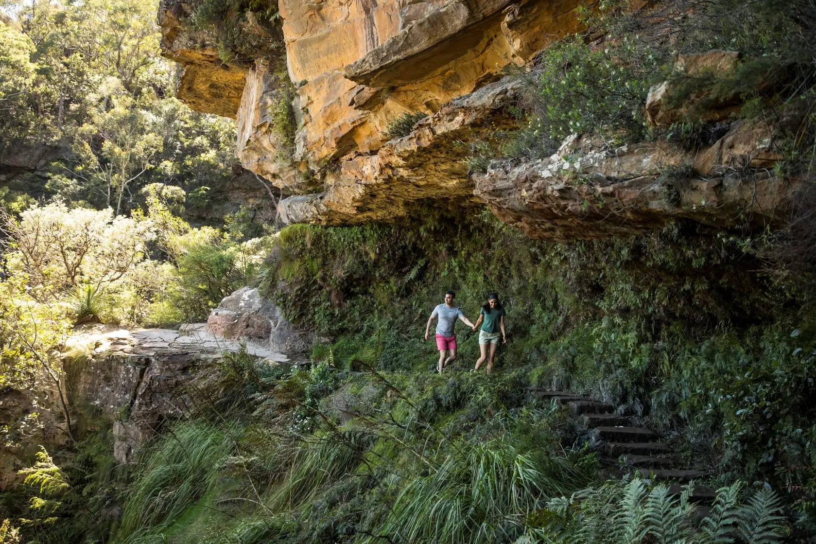 blue mountains package tour