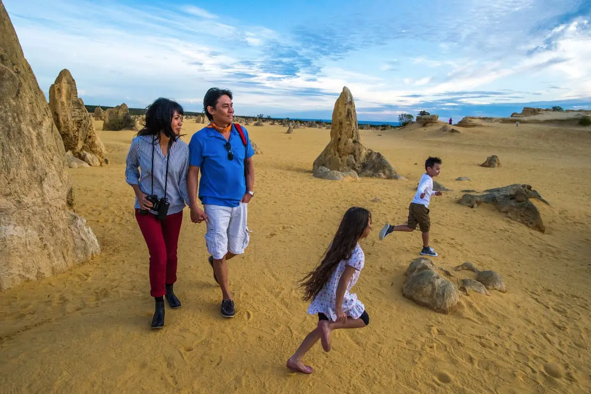 Pinnacles Stargazing Tour