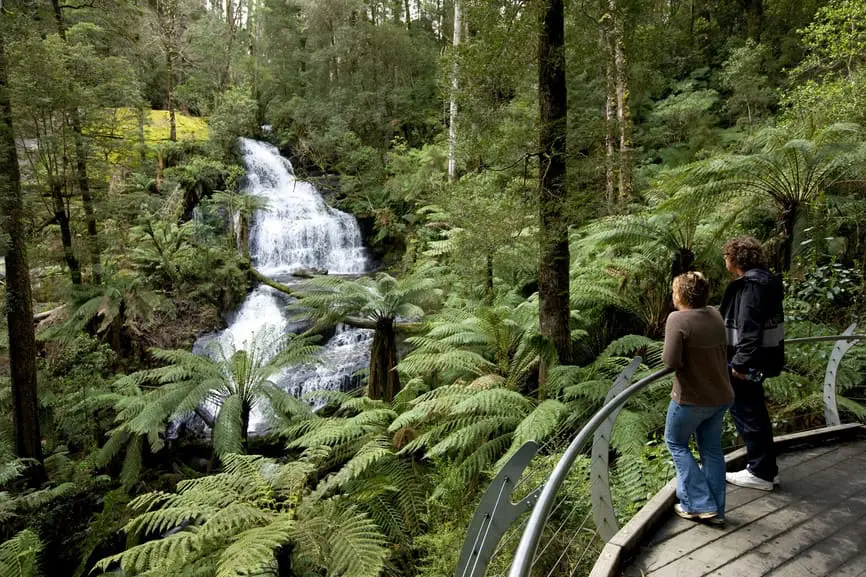 otway discovery tour review