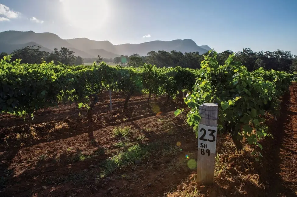 hunter valley wineries tours