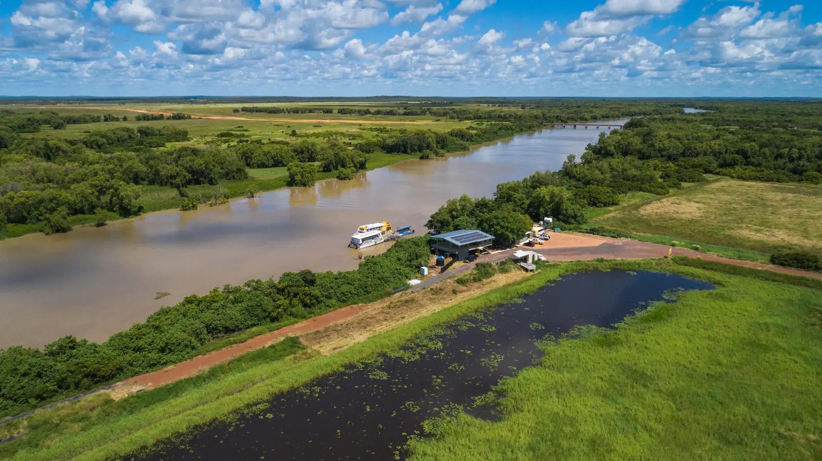 jumping croc cruise