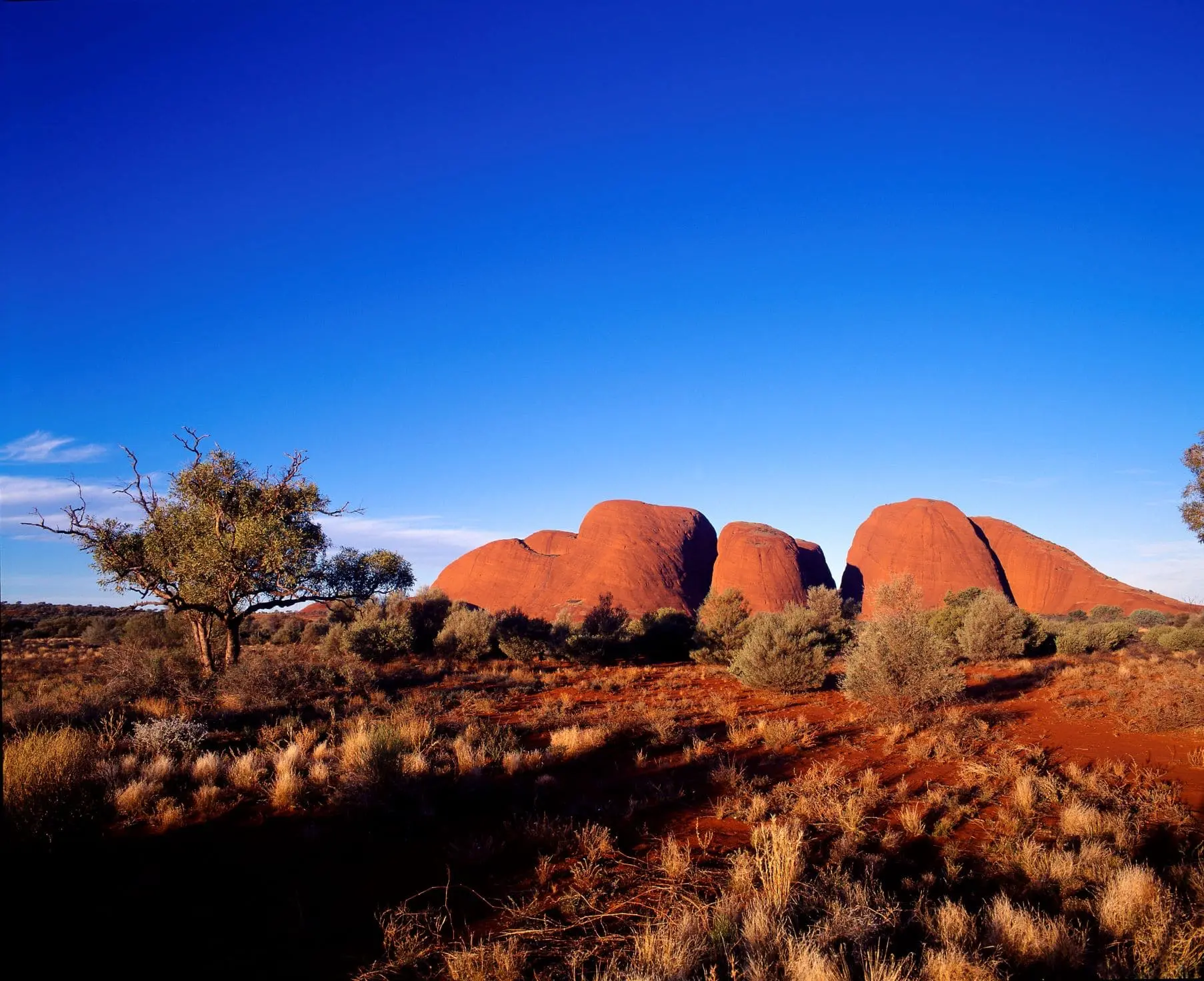 alice springs to uluru tour
