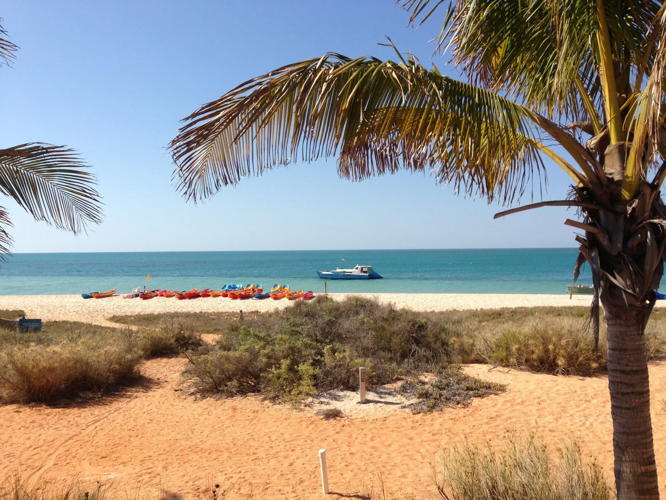 tours from perth to monkey mia