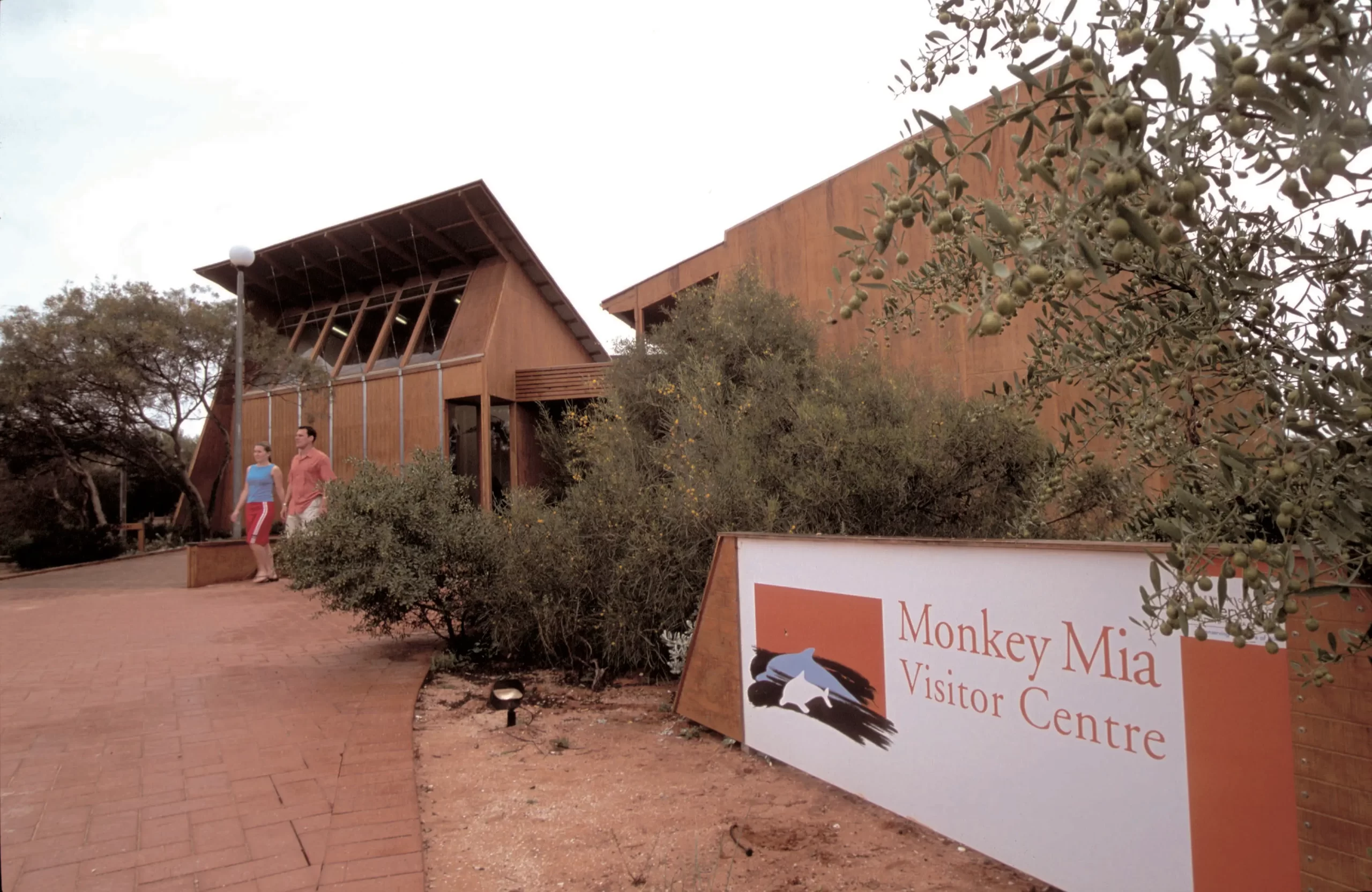 perth to monkey mia tours