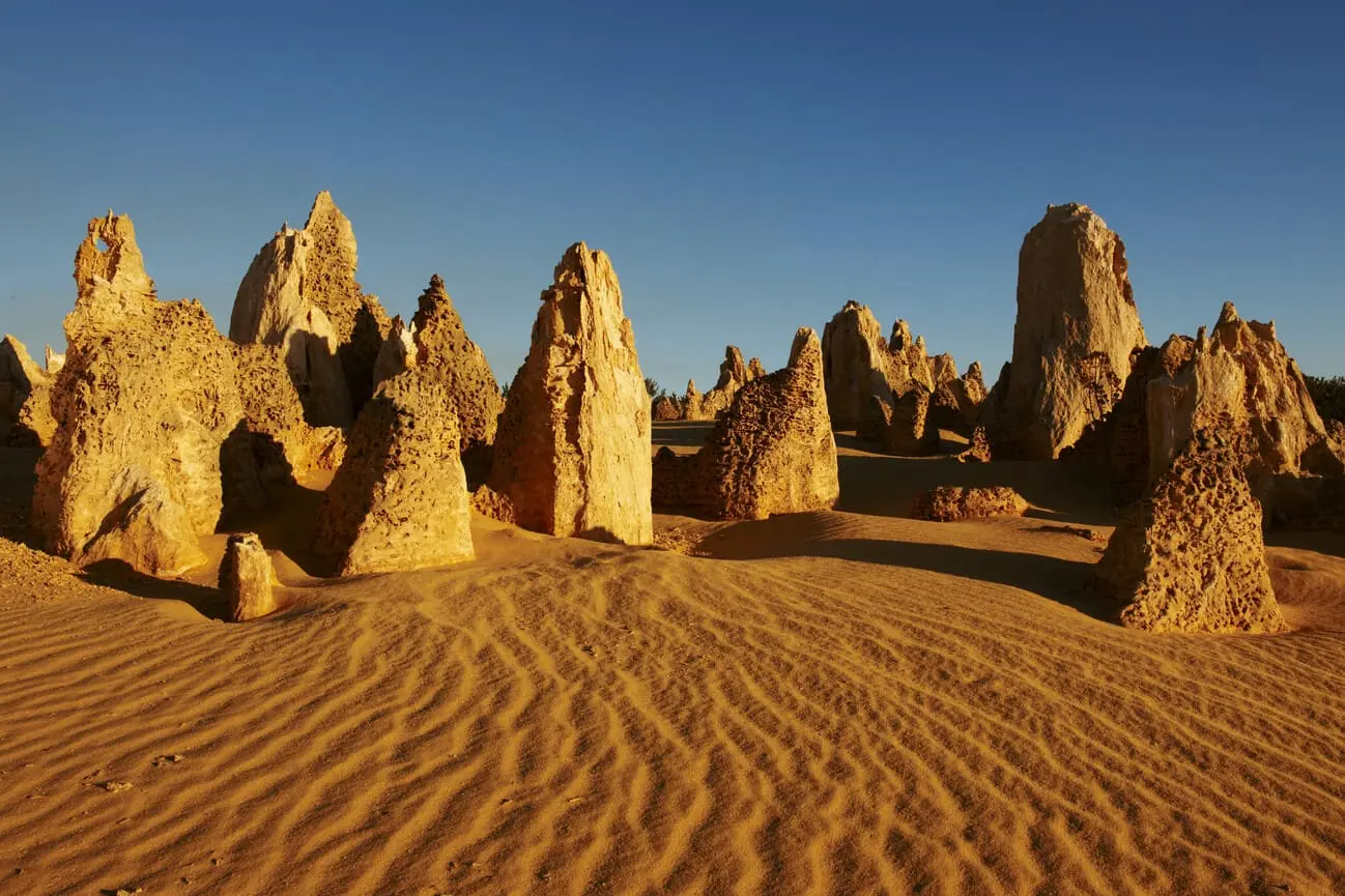 pinnacles desert tour
