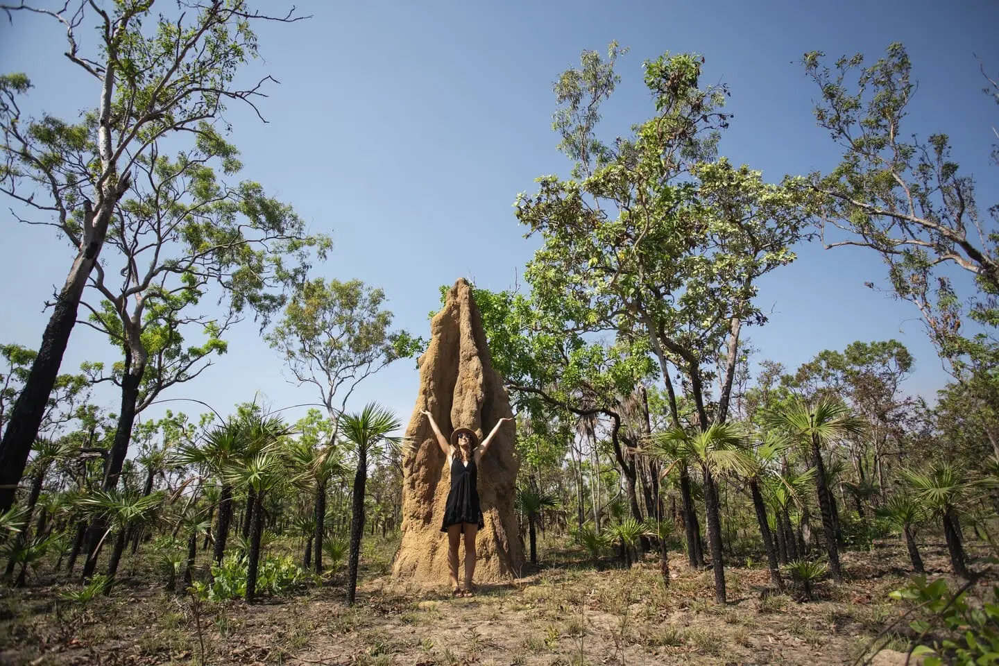 small group tours litchfield national park