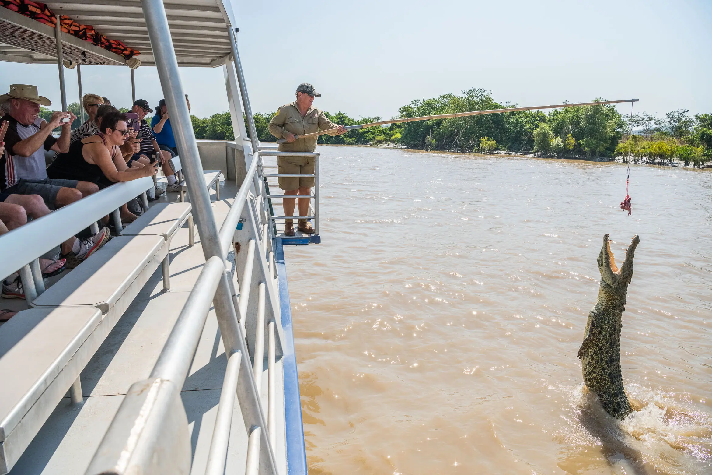spectacular jumping crocodile cruise
