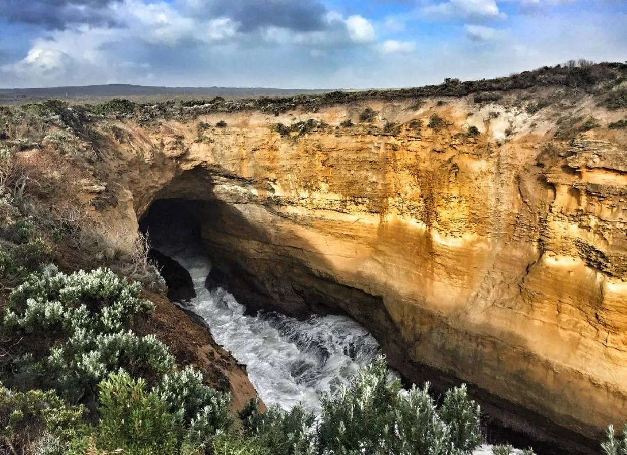 great ocean road b tours