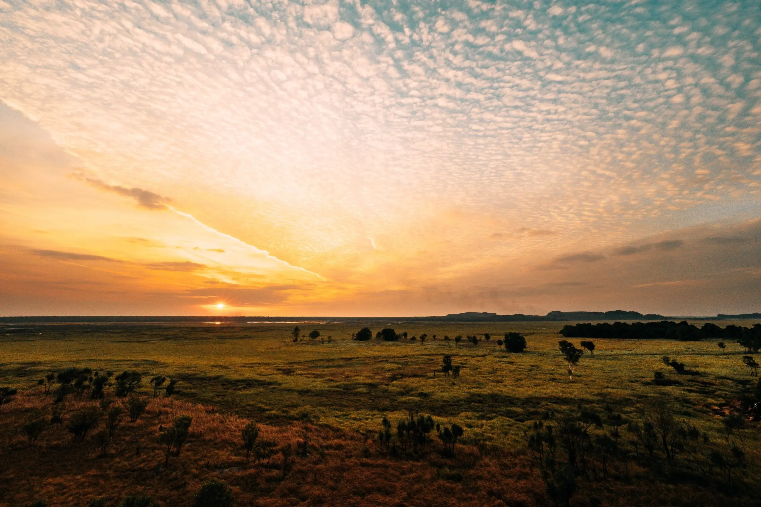 kakadu day trip from darwin