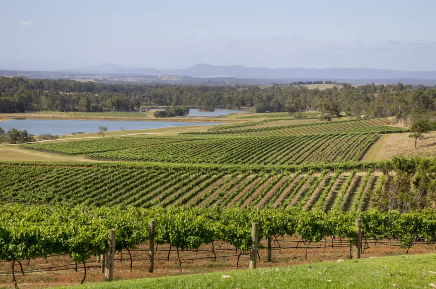 tours in hunter valley