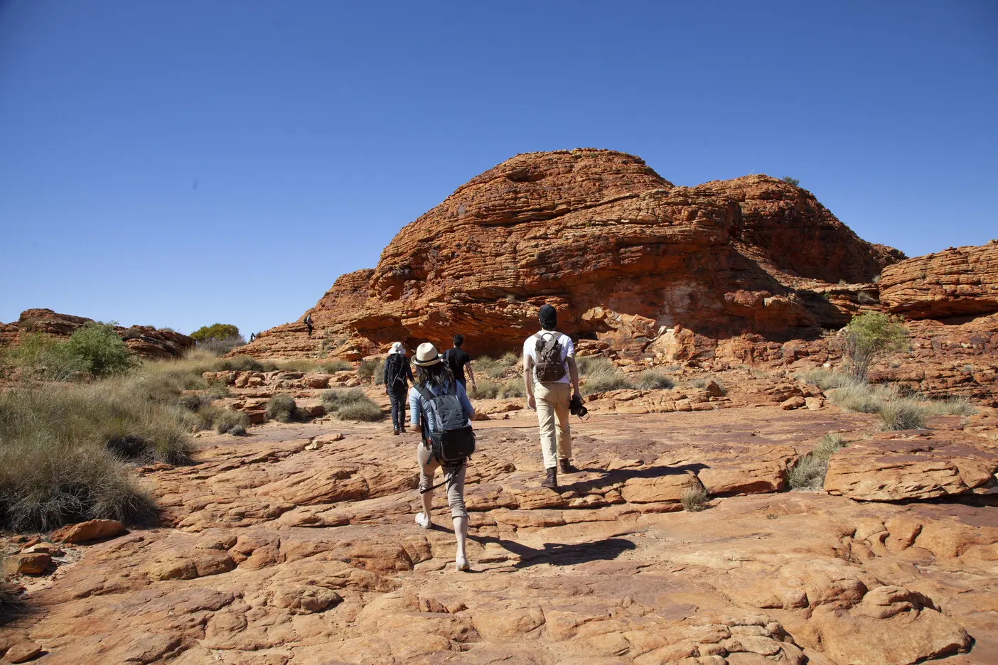 uluru to alice springs tour