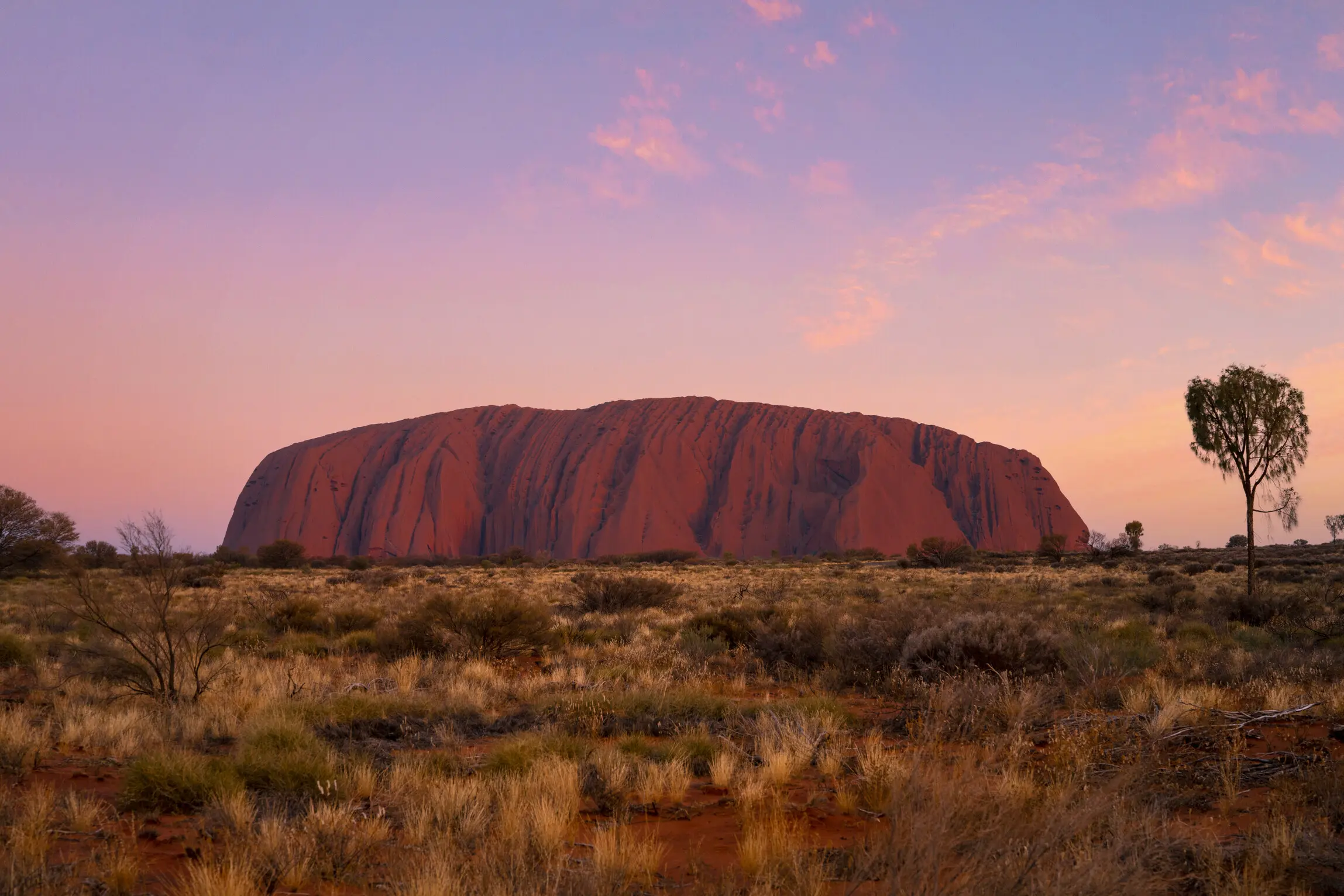 tours from alice springs to uluru