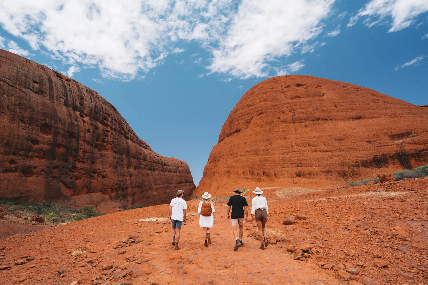 tour uluru from alice springs