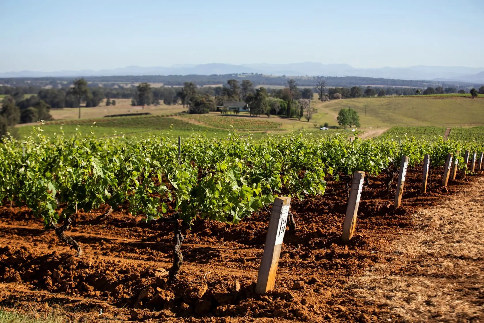 vinyard tours