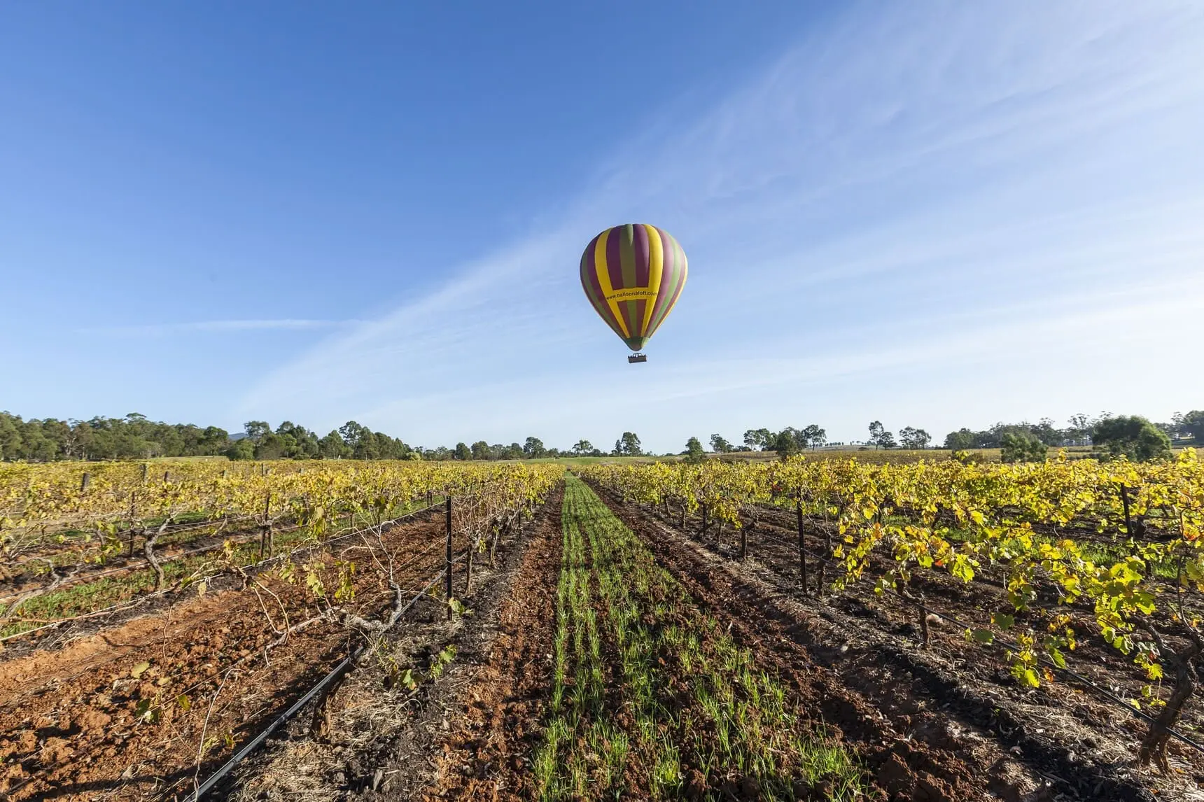 wine tours hunter valley deals