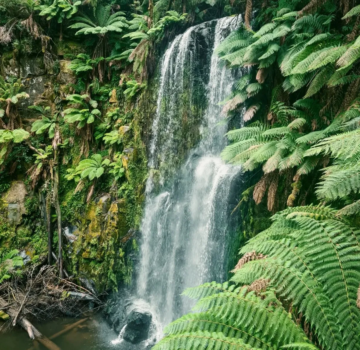 Otway National Park