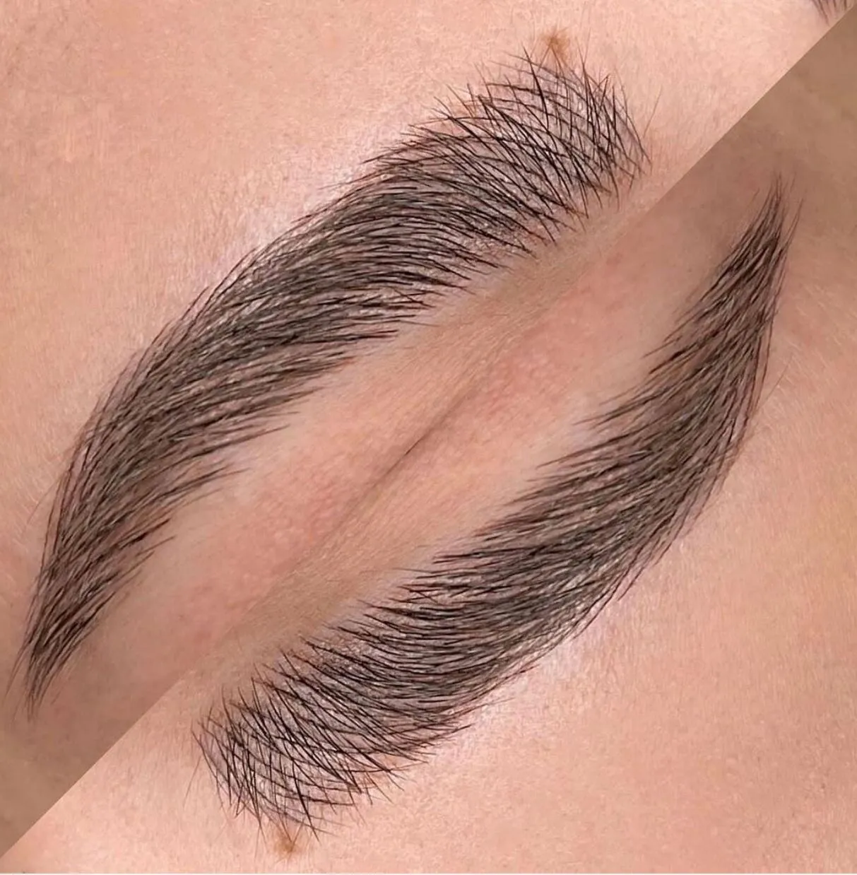 ombre powder brows