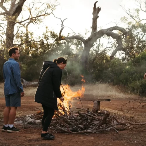 day tours alice springs
