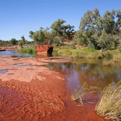 day trips alice springs