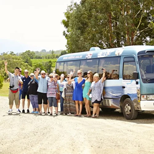 winery tour yarra valley