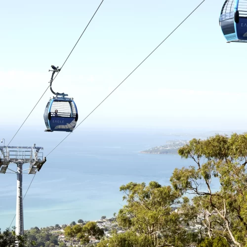 mornington peninsula wine tours