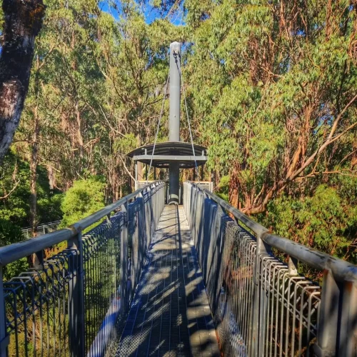 otway discovery tour