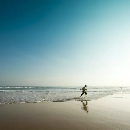 phillip island day tour