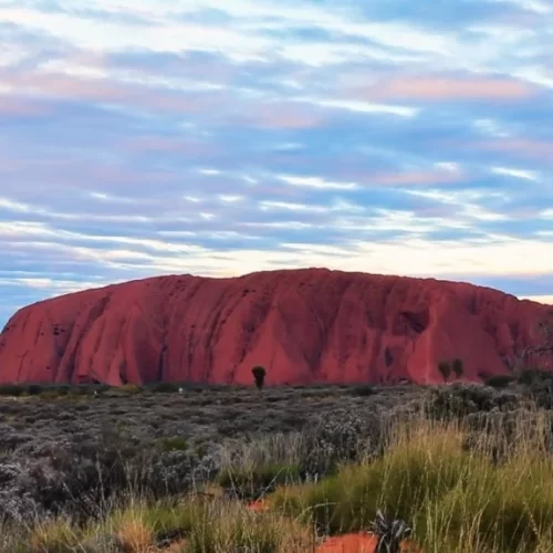 alice springs day tour