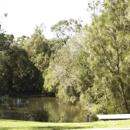 peninsula wine tours