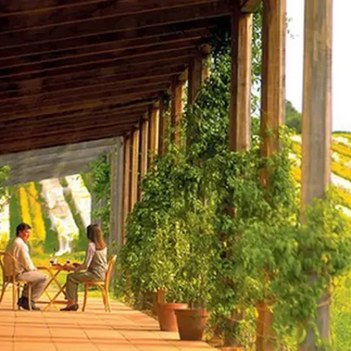 wine tours yarra valley