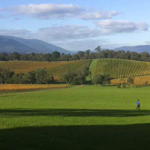 yarra valley winery tours