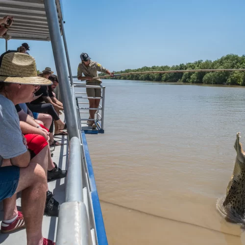 darwin croc tours
