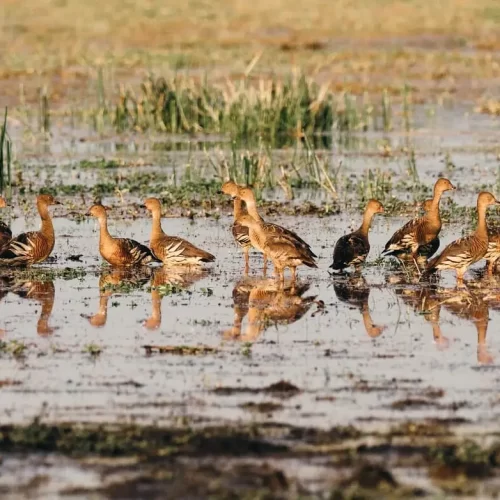 darwin to kakadu tours